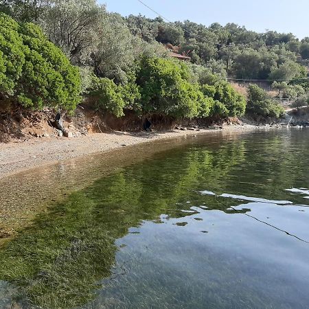 Chiona΄S Apartments By The Sea Paleo Trikeri Екстер'єр фото